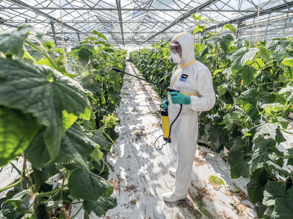 Uvex 60122	Profastrong NF33 Eldiven Kimyasallara Karşı Koruyucu Eldivenler Nitril Kauçuk (NBR)	Kalınlık: 0.38 mm Uzunluk: 33 cm | EN 420 / EN ISO 374-1 / EN ISO 374-5